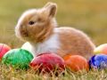 Büroschliessung über Ostern - 18.04. - 21.04.2025